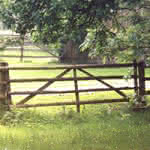 Gartenbau + Landschaftsbau