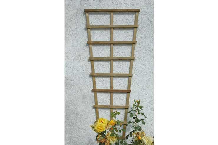 Spalier Arhus, 30/60x150 cm Nadelholz Arhus, 30/60 x 150 cm