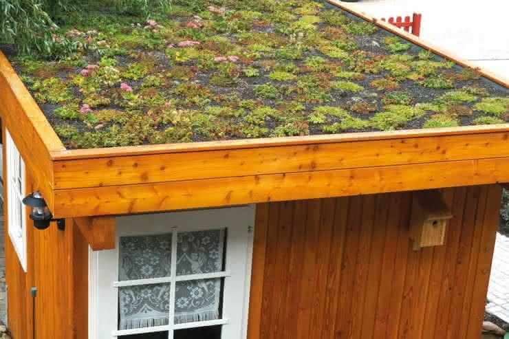 Gründachbausatz für Gartenhaus Greenbox 3 Greenbox 3