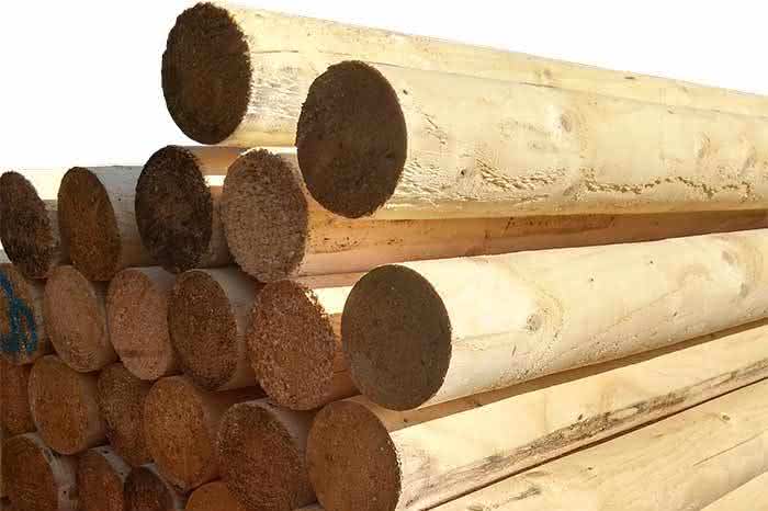 Turnierstangen Fichte 10 cm 3,00 m naturbelassen 3,00 m