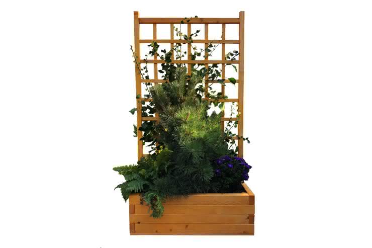 Rankpflanzkübel Como Fichte Pinie 90 x 35 x 174 cm 