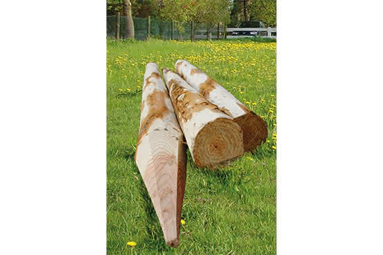 Zaunpfähle Fichte/Tanne frisch, bunt gefräst 