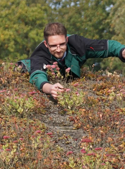 Gründachbausatz für Carports 