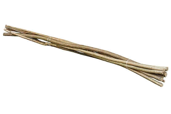 Haselnussruten lose Ø ca 1 - 3 cm 25 St. / Bund 