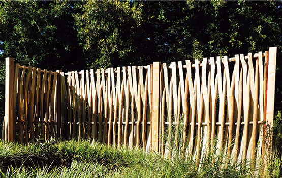 Naturzaun Holmsbu Haselnuss 