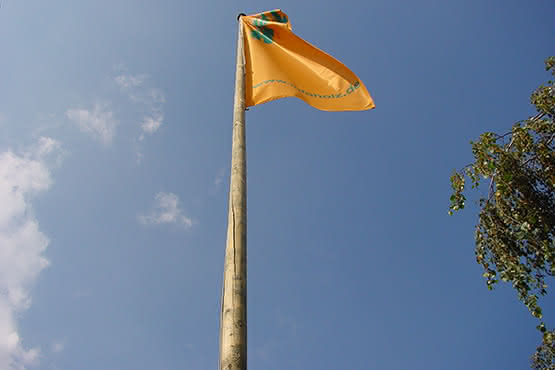 Fahnenmasten Fichte, naturbelassen oder kesseldruckimprägniert 