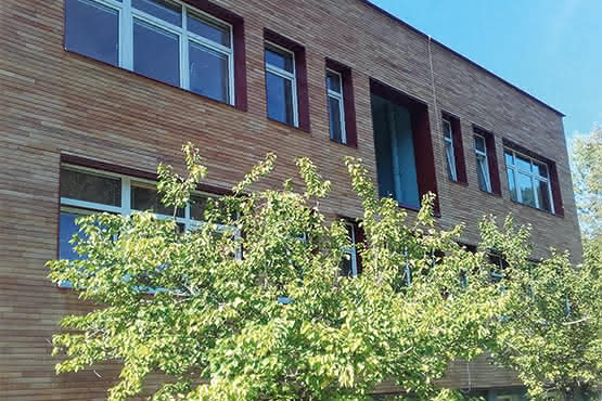 Rhombus-Profil Robinie 21x60 mm 4,00 m Länge keilgezinkt 4,00 m