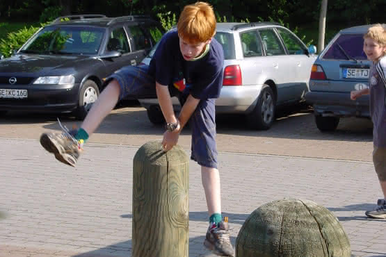 Poller Kopf gerundet Ø 20 cm 1,50 m Kopf gerundet Ø 20 cm | 1,50 m