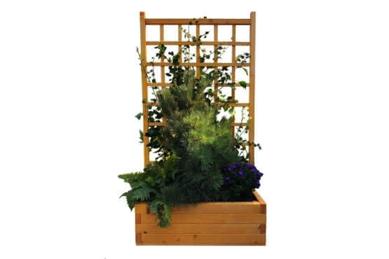 Rankpflanzkübel Como Fichte Pinie 90 x 35 x 174 cm 