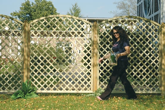 Rankzaun mit Bogen Palma 50x170/150 cm Rankzaun mit Oberbogen KDI 50 x 170/150 cm Rankzaun mit Oberbogen | KDI