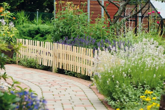 Steckbeetgrenze Haselnuss 