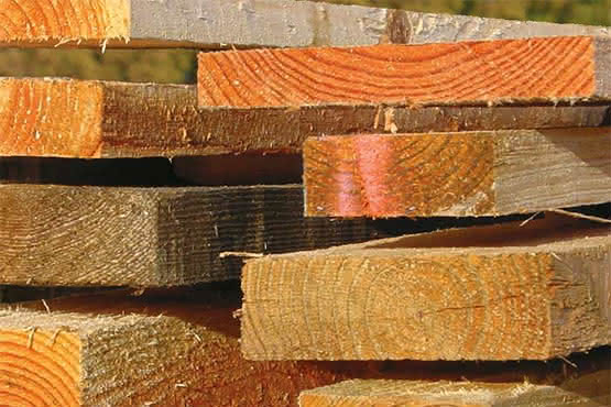 Schnittholz Lärche 25x150 mm 3,00 m 25 x 150 mm | 3,00 m