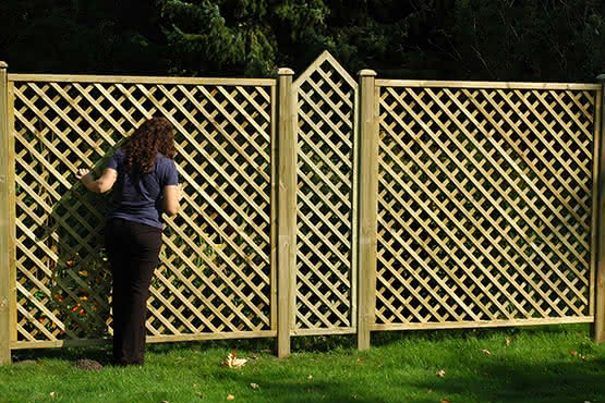 Pedro 50x200/180 cm Rankzaun mit Spitze KDI 50 x 200/180 cm Rankzaun mit Spitze | KDI