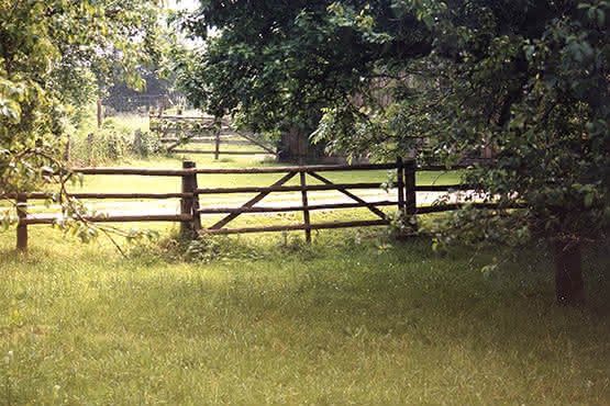 Weidezauntore Lärche/Douglasie 