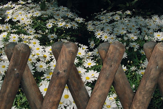 Jägerzaun 100x100cm Pforte 56 KDI braun Pforte 100x100 cm | KDI braun