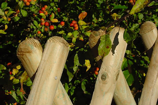 Jägerzaun Scherenfeld 250x80 cm