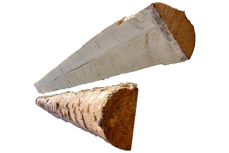 Halblatten Fichte frisch 