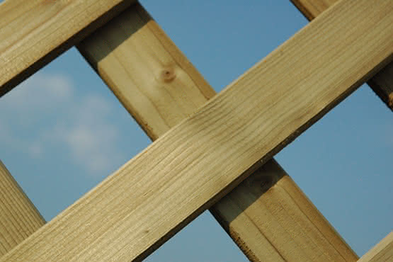 Sichtschutzelement Lugano 180x180 cm mit Rankgitter KDI 180 x 180 cm mit Rankgitter