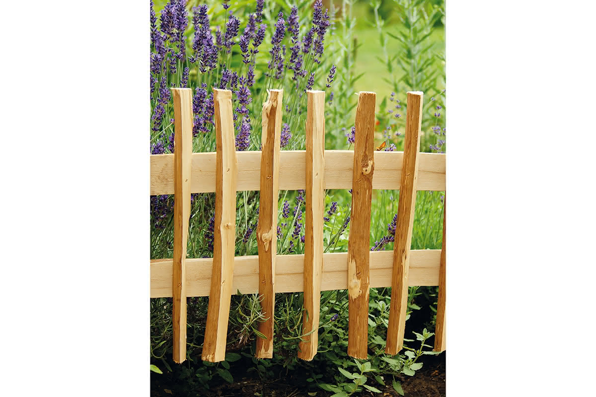 Steckbeetgrenze Haselnuss 