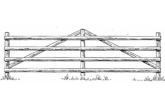 Weidezauntore Fichte 