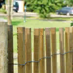 Robinie Rollzaun, Lattenabstand 3-4 cm, Rolle 500x150 cm 500 x 150 cm | 3-4 cm Abstand