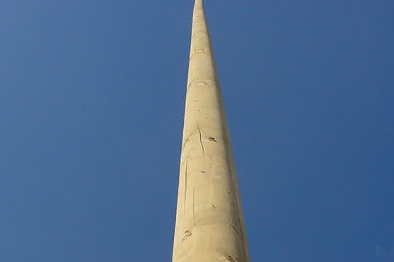 Fahnenmasten Fichte, naturbelassen oder kesseldruckimprägniert 