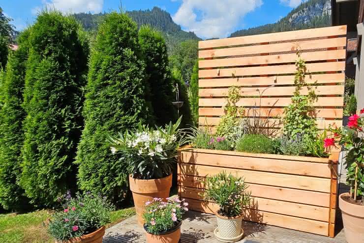 Loen Rankpflanzkübel 