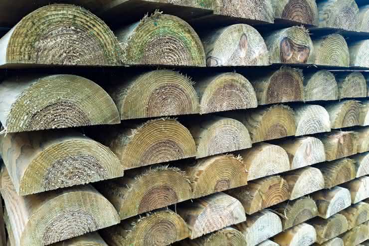 Zaunriegel Kiefer KDI 