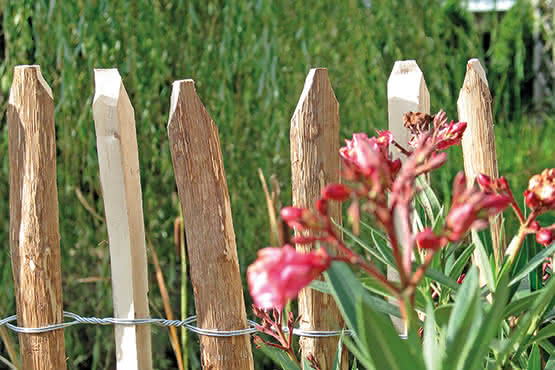 Rollzaun Haselnuss Staketenabstand ca. 3-4 cm 