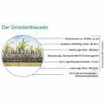 Gründachbausatz für freistehende Geräteräume 