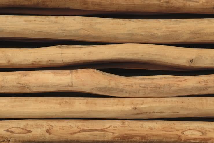 Robiniestämme 12-14 cm | 3,00 m