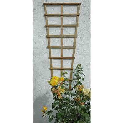 Spalier Arhus, 30/60x150 cm Nadelholz Arhus, 30/60 x 150 cm