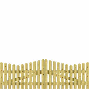 Eiderzaun 300x90/100cm Doppeltor KDI  300 x 90/100 cm Doppeltor | KDI