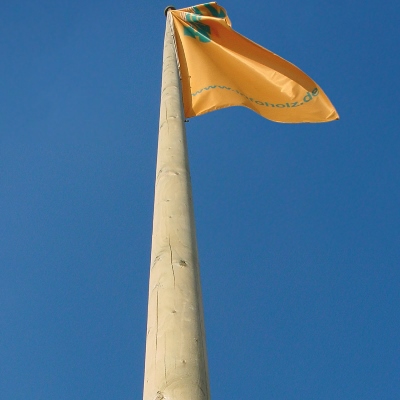 Fahnenmast ohne Zubehör und ohne Fuß, 8,00 m Länge, Fichte kesseldruckimprägniert 8,00 m | kesseldruckimprägniert | Mast ohne Zubehör und ohne Fuß