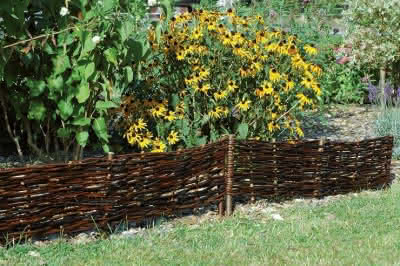 Weiden-Beetgrenze 