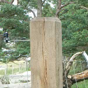Schnittholz Eiche 120x120 mm 1,80 m 120 x 120 mm | 1,80 m