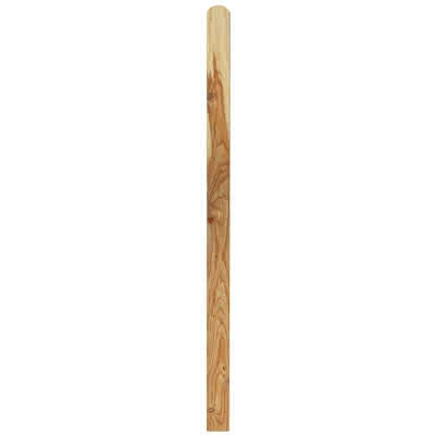 Zaunprofile 20x68 mm 0,80 m Lärche naturbelassen 20 x 68 mm | 0,80 m | Lärche naturbelassen