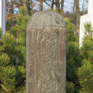 Poller Kopf gerundet Ø 20 cm 1,50 m Kopf gerundet Ø 20 cm | 1,50 m