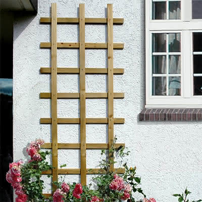 Spalier Odense, 60 x 150 cm Nadelholz Odense, 60x150 cm