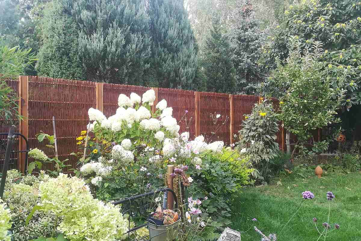 Fotowettbewerb Gewinne 2019