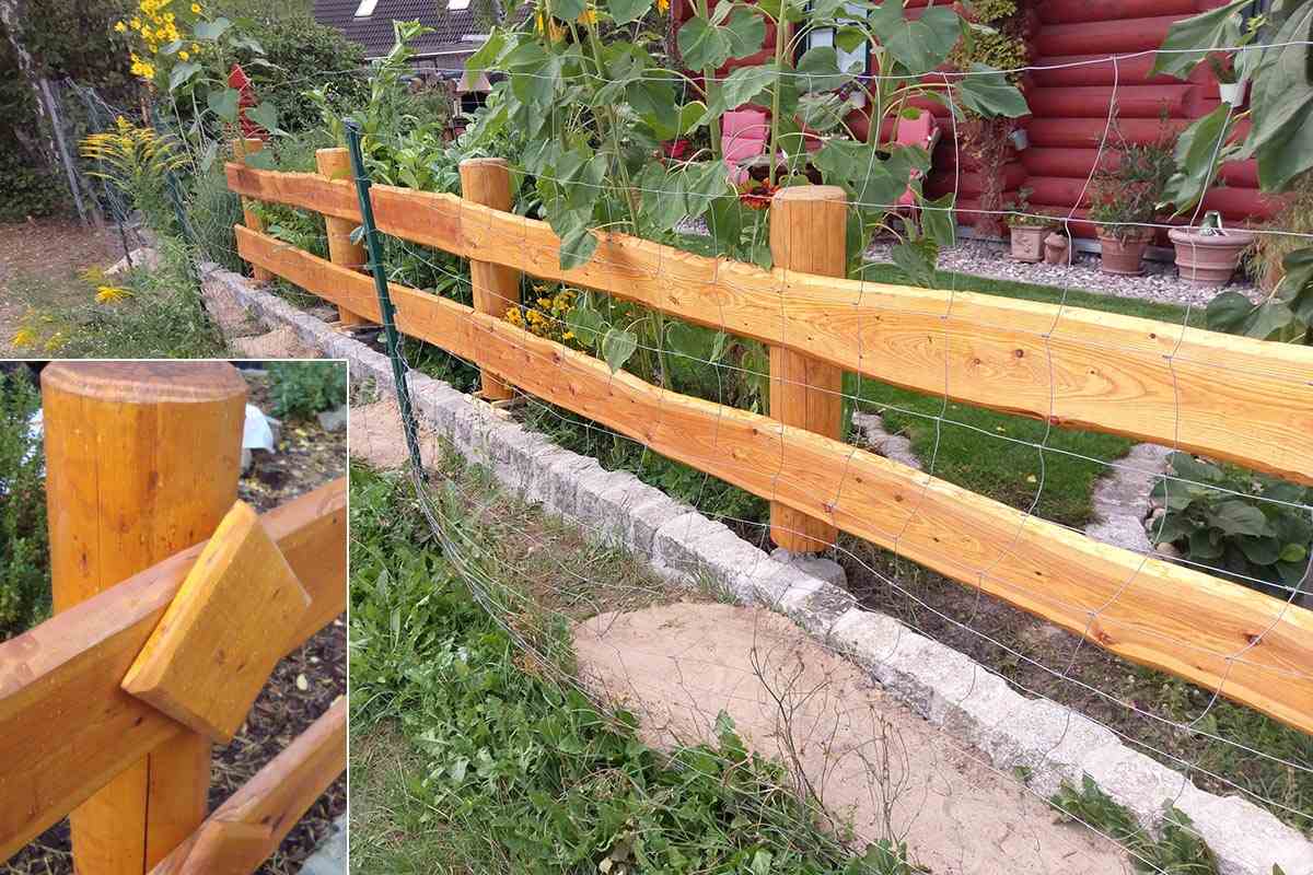 Fotowettbewerb Gewinne 2019